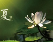 夏至節(jié)氣，廣西強壽藥業(yè)集團提醒您注意防暑降溫