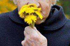 進(jìn)行性癡呆是怎么回事_進(jìn)行性癡呆的病因、預(yù)防