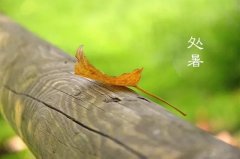 今日12時(shí)9分，迎來處暑節(jié)氣