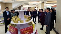 蒼梧縣人大學(xué)習(xí)考察組一行蒞臨集團(tuán)參觀指導(dǎo)